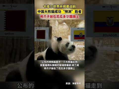 曼城全场射,次无一命中,上次类似遭,澳门威尼斯人官网,澳门威尼斯人在线,澳门威尼斯人平台,澳门威尼斯人中国