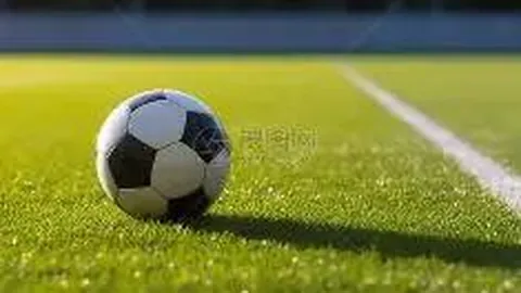 姚基金希望小学篮球季全国联赛季军花落黑龙江篮球队