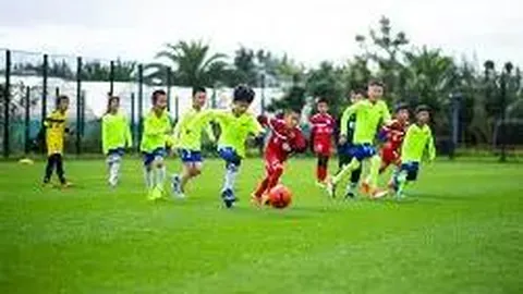 《浪浪山》衍生作品及陈思诚新力作，共计772部新片上映在即！