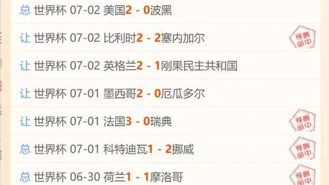 澳门威尼斯人中，澳门威尼斯人体验，国 063934 89